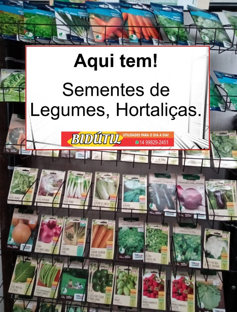 Sementes 25.5.24.jpg